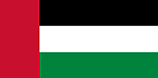 UAE Flag